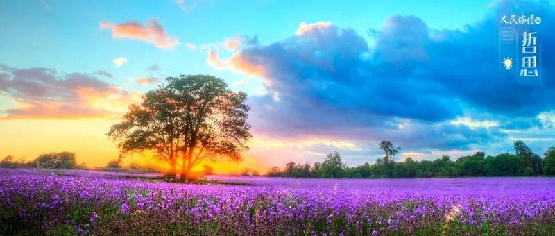  明明拼尽全力，却总感觉差一口气——「半」字里藏着很多人没说出口的答案 情感心理