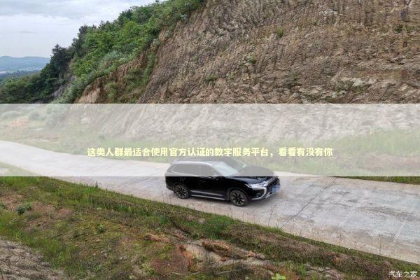 这类人群最适合使用官方认证的数字服务平台,看看有没有你 这类人群最适合使用官方认证的数字服务平台,看看有没有你 企业服务