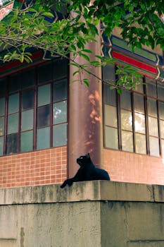 好评请求的背后，隐藏着个人信息泄露的黑色链条。