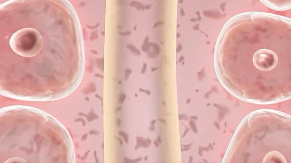  【技术解码】诺贝尔奖加持下的调节性T细胞疗法：资本涌入与临床突破的深层逻辑 健康养生