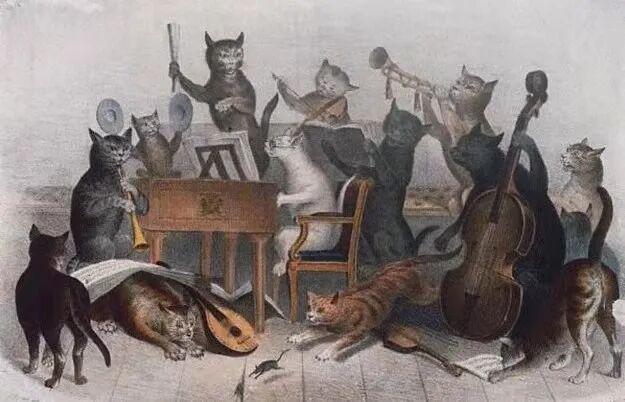 战略失焦与叙事困境：特朗普“史诗暴怒行动”演讲的多维剖析 新闻