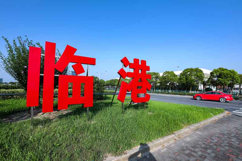  数据跨境合规的技术逻辑与实践路径：临港服务中心的深层架构 IT技术