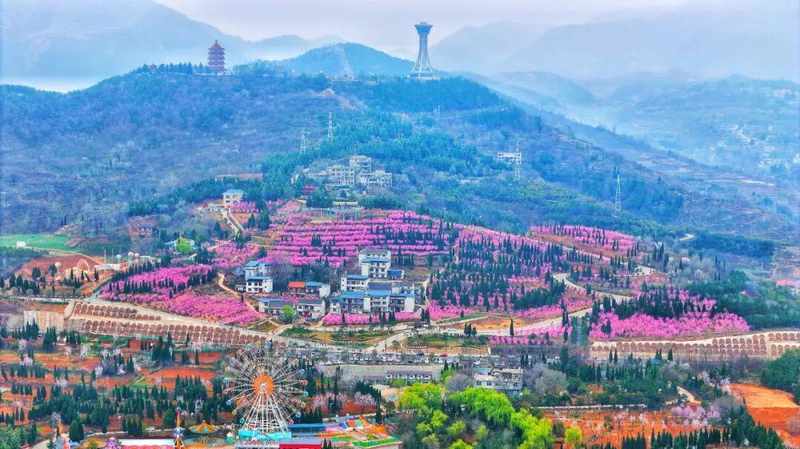  当一片花海，真的改变了一个小镇的生活 文化旅游