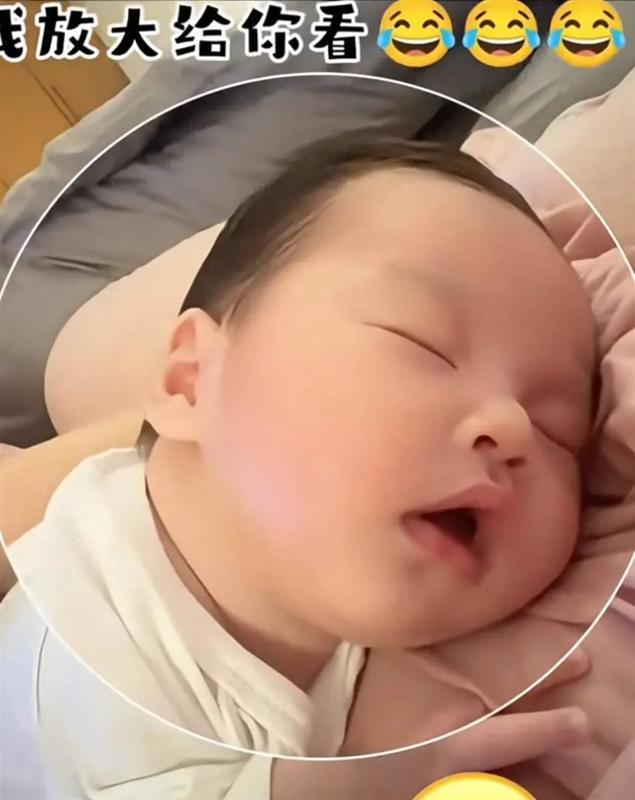  从“滞留台北”到“证件谜题”：麻六记杨总直播辟谣背后的流程真相 娱乐新闻