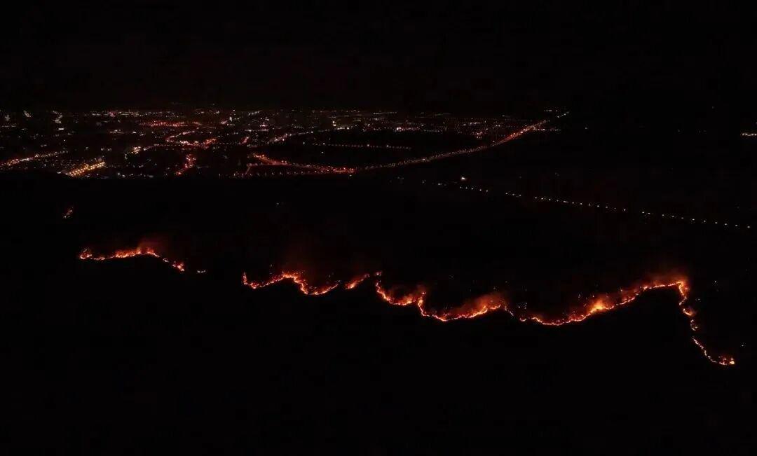  【技术视角】从失火罪判决看森林防火的技术防控要点与法律红线 新闻