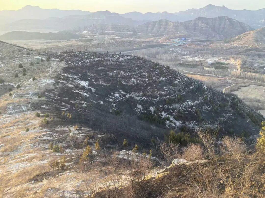  【技术视角】从失火罪判决看森林防火的技术防控要点与法律红线 新闻