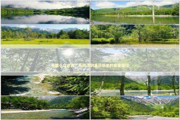 电脑小白逆袭：从崩溃到重获新生的实用路径 新闻