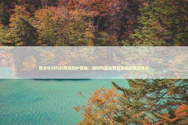 数字化时代的网络防护策略：如何构建高效且稳固的连接体验 IT技术