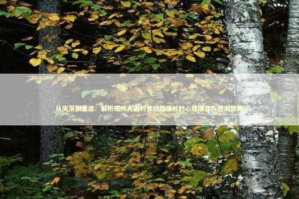 从失落到重逢：解析现代人面对变动感情时的心理博弈与应对策略