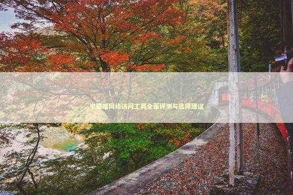 电脑端网络访问工具全面评测与选择建议 IT技术