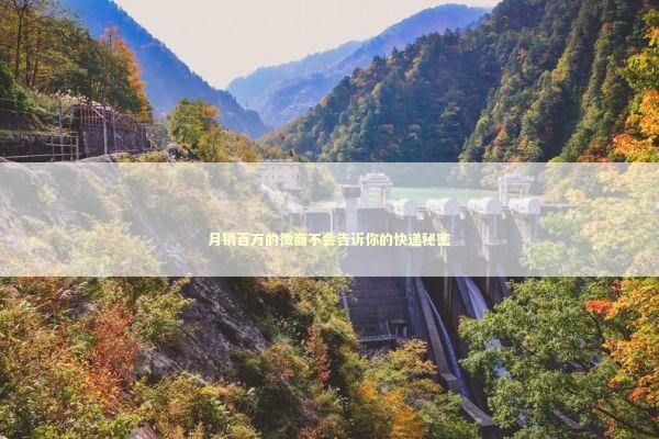 月销百万的微商不会告诉你的快递秘密 企业服务