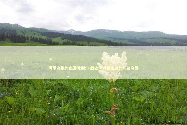 同事老张的血泪教训:下载软件时我走过的那些弯路 IT技术