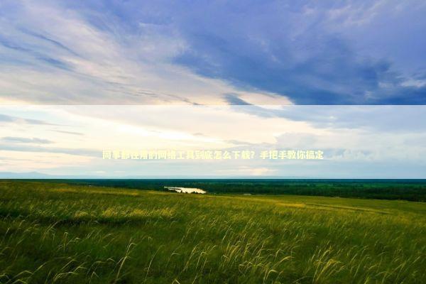 同事都在用的网络工具到底怎么下载？手把手教你搞定 IT技术