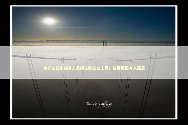 为什么越来越多人选择这款安全工具？背后原因令人深思 IT技术