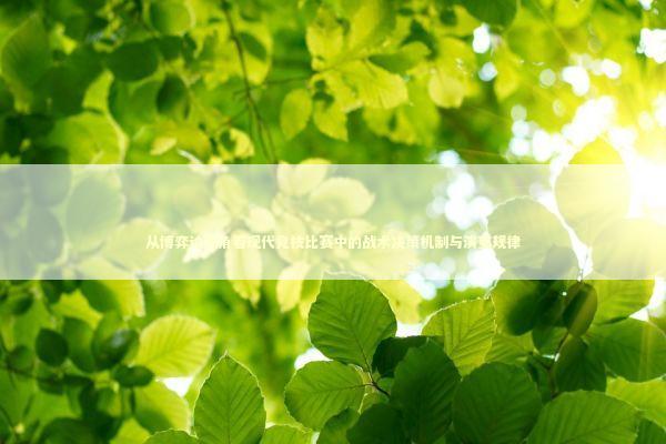 从博弈论视角看现代竞技比赛中的战术决策机制与演变规律 体育新闻