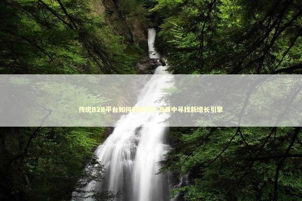 传统B2B平台如何在数字化浪潮中寻找新增长引擎 传统B2B平台如何在数字化浪潮中寻找新增长引擎 IT技术
