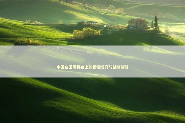 中国在国际舞台上的情感博弈与战略智慧 中国在国际舞台上的情感博弈与战略智慧 新闻